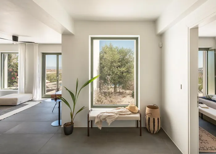 Ampelas 4br Villa, Private Pool, To Ktima Paros * נאוסה